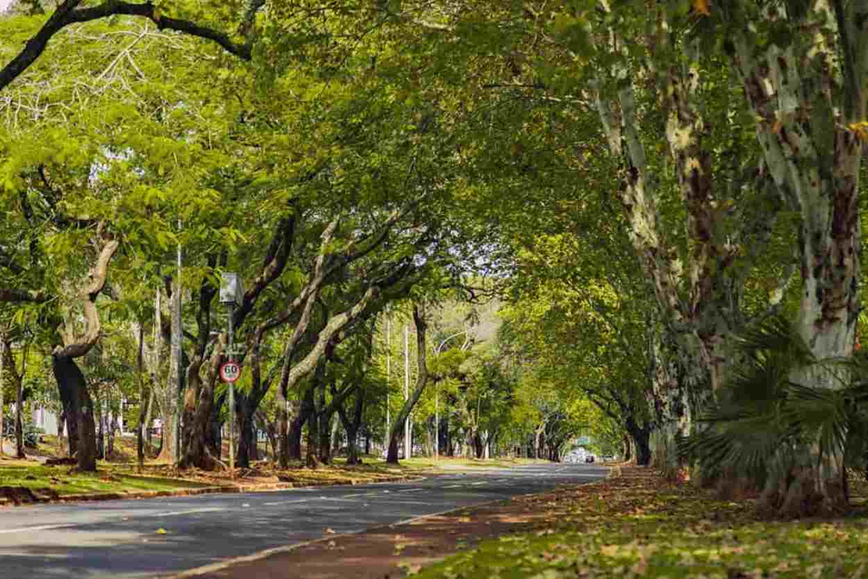 Foz do Iguaçu terá 11 corridas de rua aos domingos de manhã