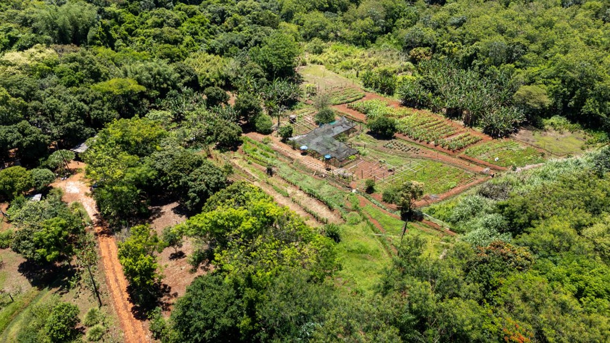 Entidades e órgãos públicos saem em defesa do quilombo de Foz
