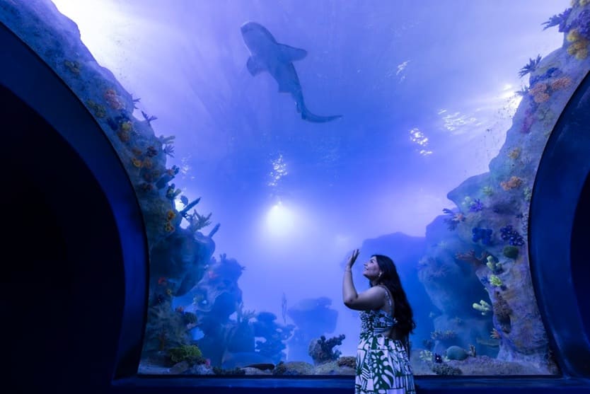 Que tal curtir um cenário assim?