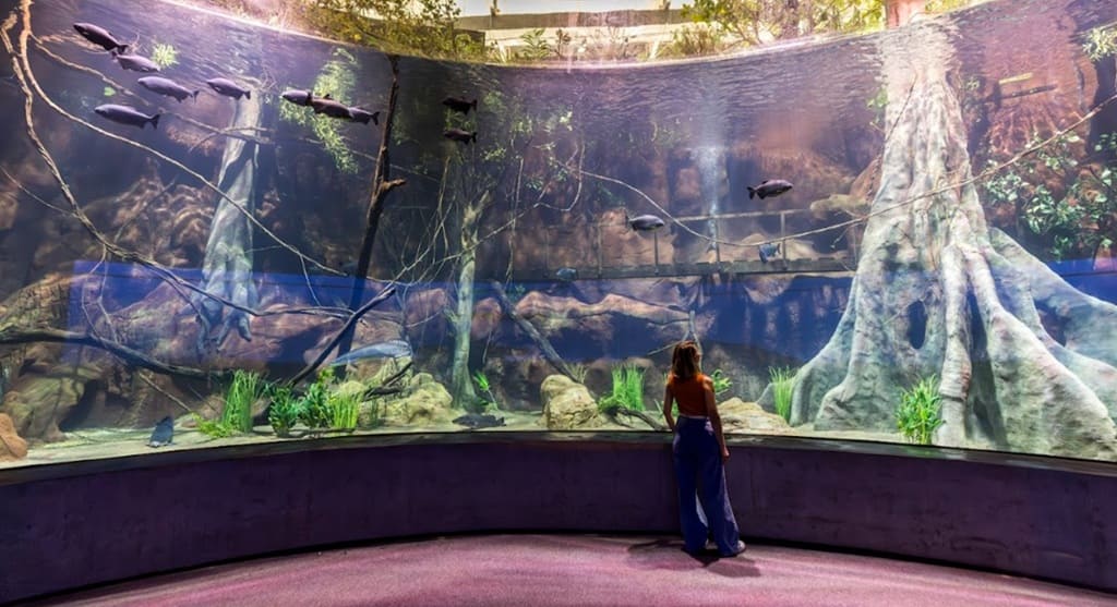 AquaFoz impressiona pela diversidade de cenários.