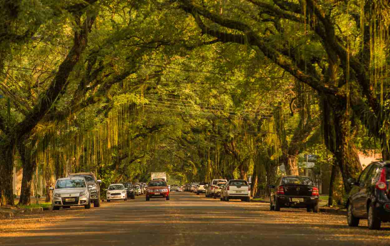 Avenida mais bonita recebe festival de cerveja artesanal em Foz do Iguaçu