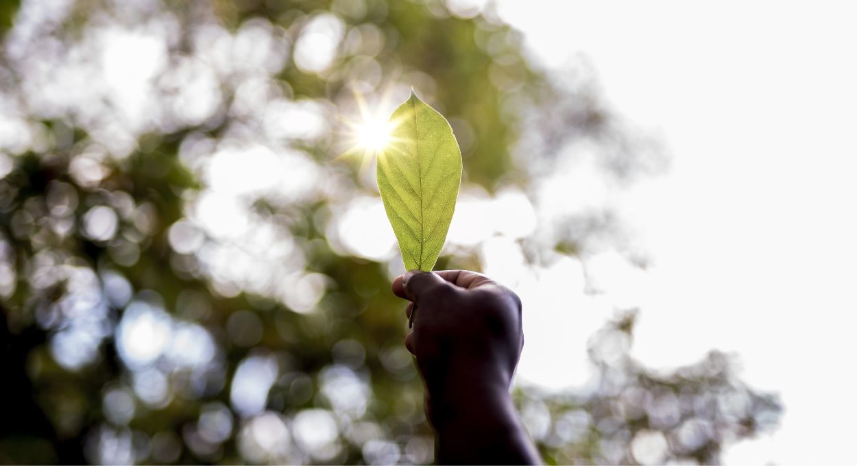 Pequenas atitudes que tornam sua rotina mais verde