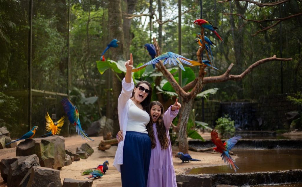 Segundo atrativo mais visitado do Paraná, Parque das Aves está atrás apenas das Cataratas.