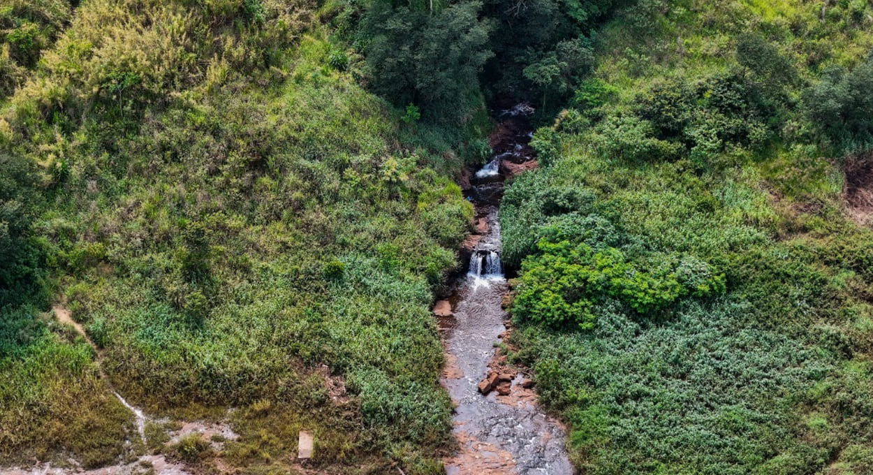 Percorra um rio urbano de Foz do Iguaçu, da nascente à foz