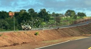 Perimetral Leste e Ponte da Integração: uma história que se repete
