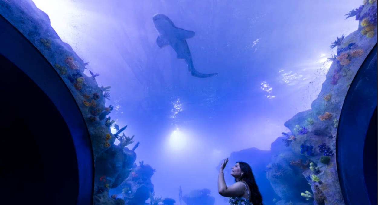 AquaFoz terá programação especial de fim de ano em Foz do Iguaçu