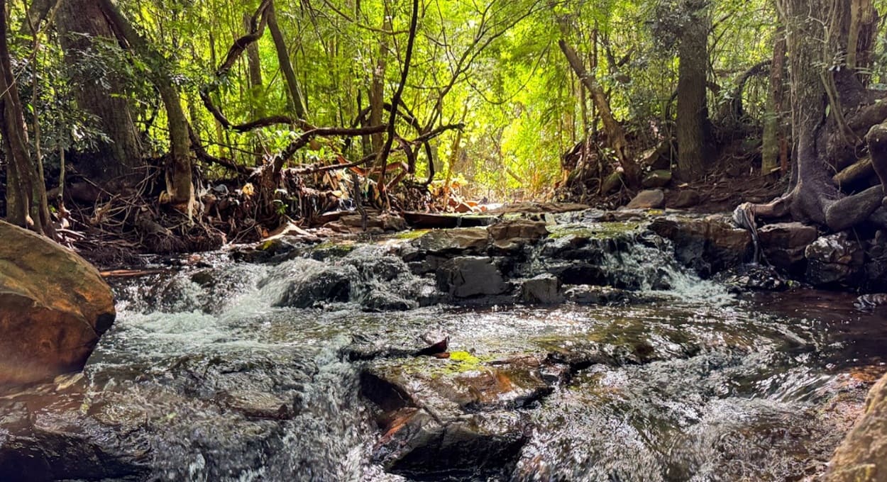 Uma visita ao Rio Mimbi, afluente do Rio Boicy em Foz do Iguaçu