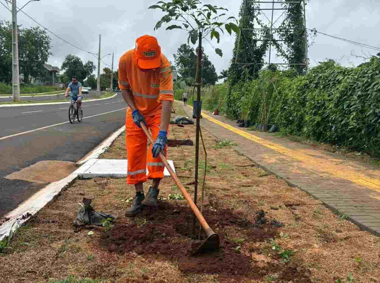 Foz do Iguaçu recebeu o plantio de 6 mil árvores, diz prefeitura