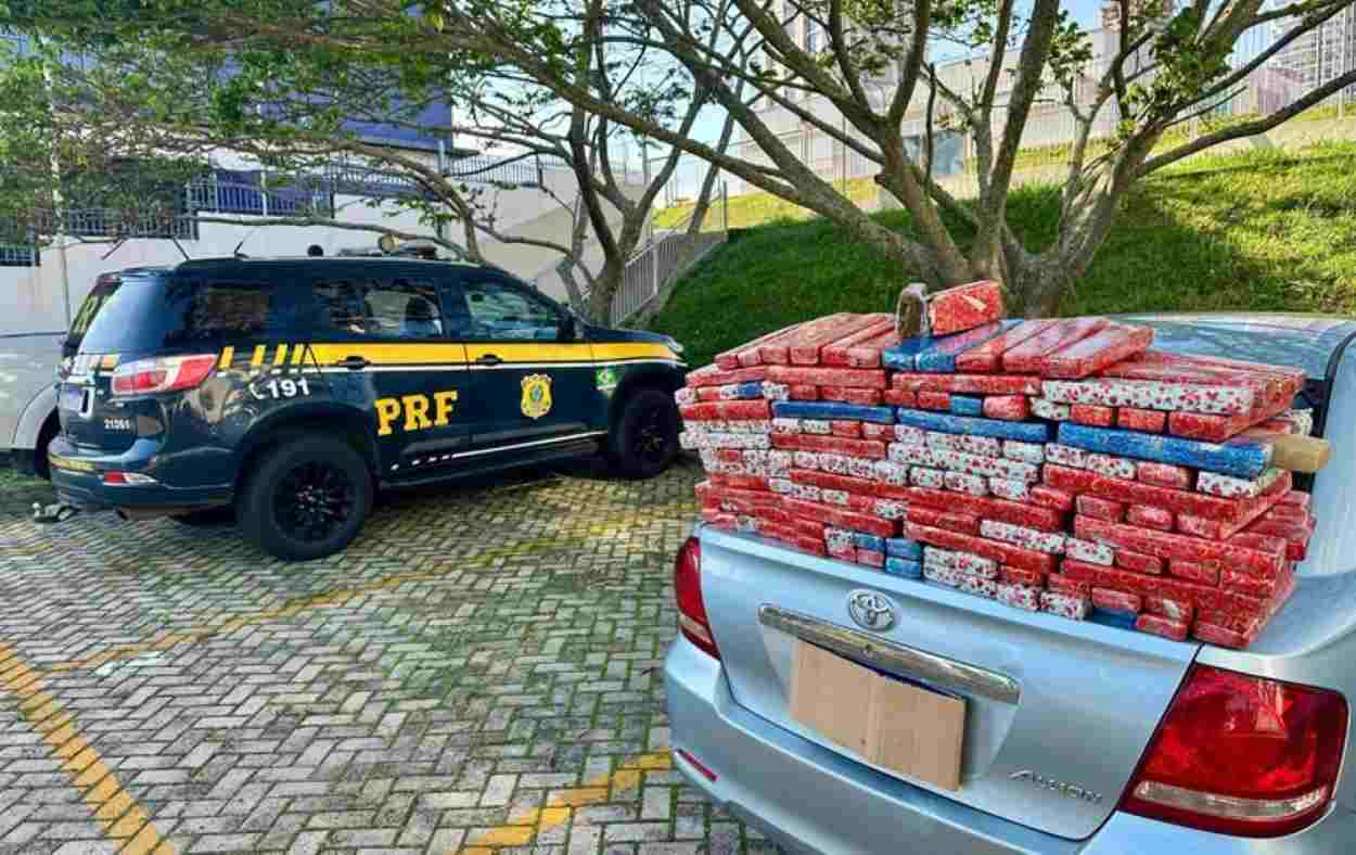 PRF bloqueia maconha embalada para o Natal em Toyota do Paraguai — vídeo