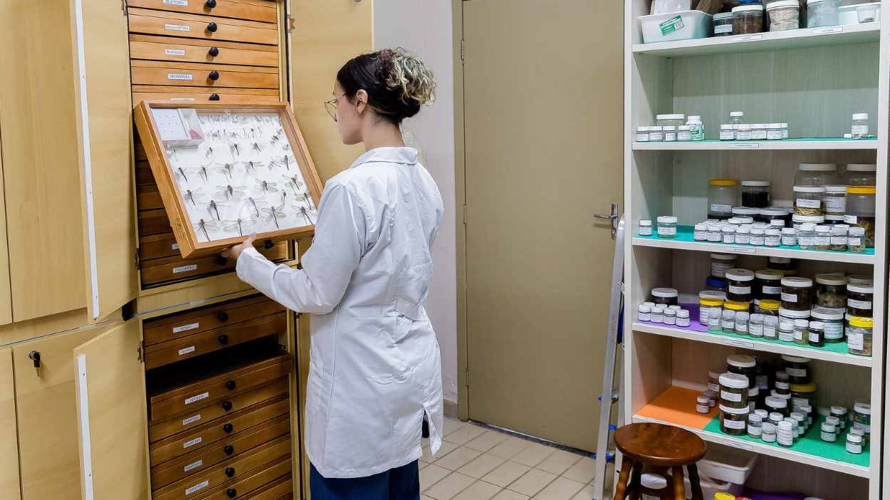 Unila abre inscrições para mestrado em Biodiversidade Neotropical