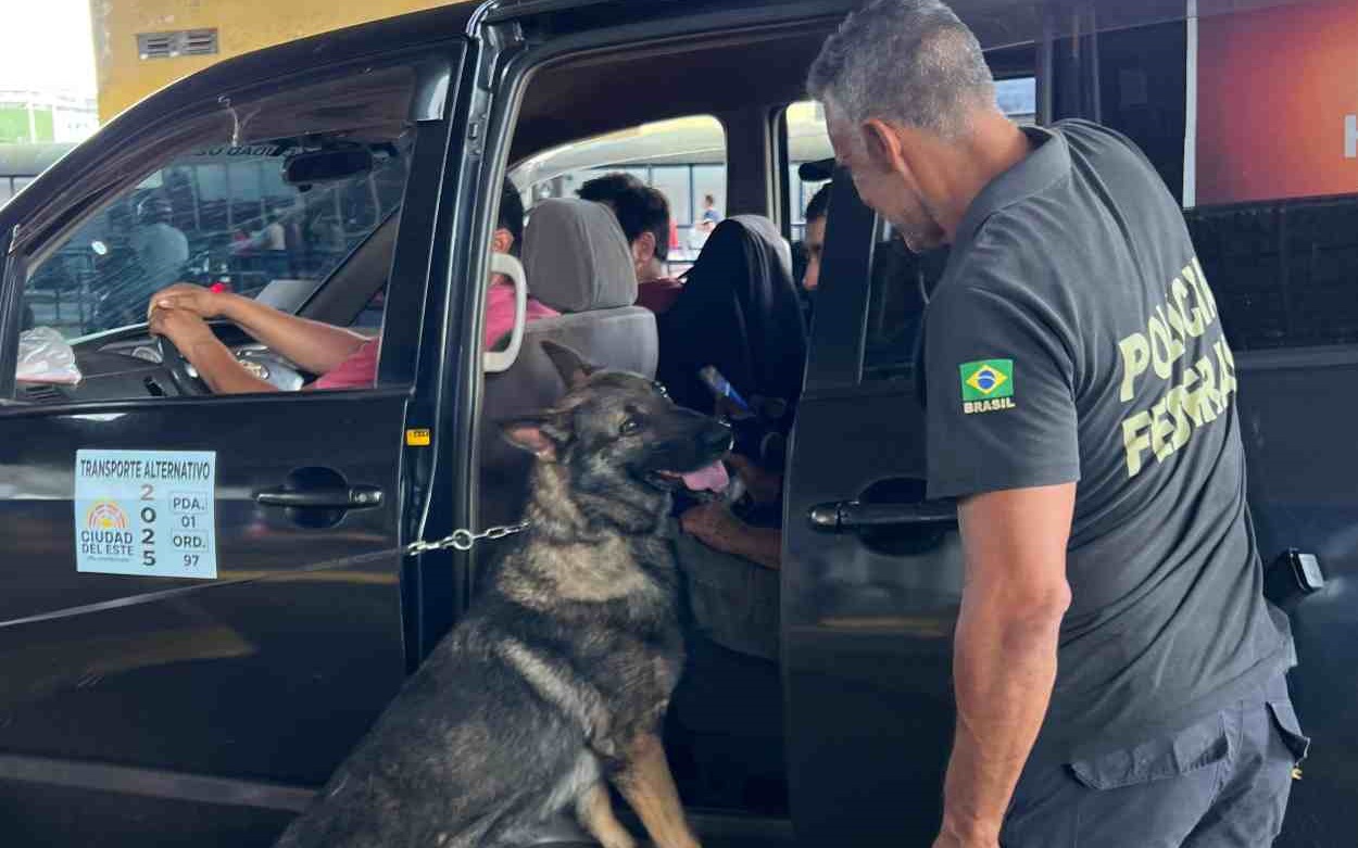 PF reforça fiscalização na Ponte da Amizade com apoio de cães farejadores