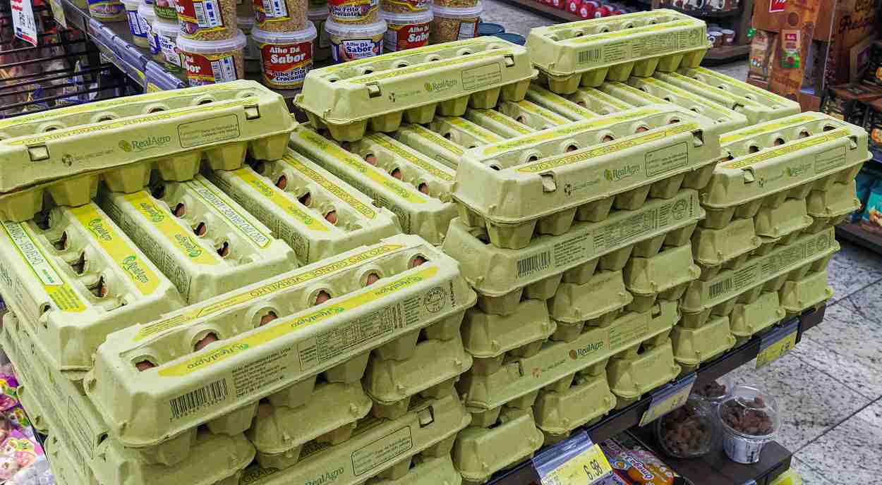 Com R$ 1,6 mil, novo salário mínimo mal cobre duas cestas básicas