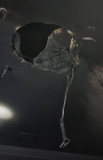 Foto: Gentileza/Corpo de Bombeiros Voluntários de Puerto Iguazú.