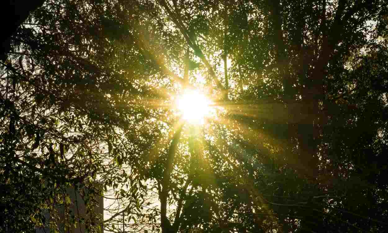 Janeiro Branco reforça a conscientização sobre saúde mental