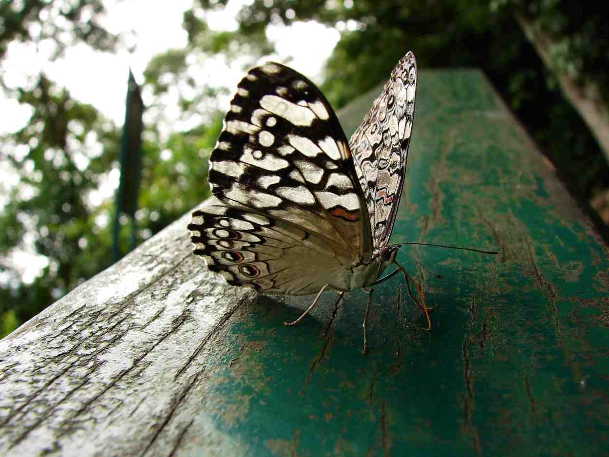 Paraná bate recorde de visitantes, e turismo cresce 5,5% em 2025