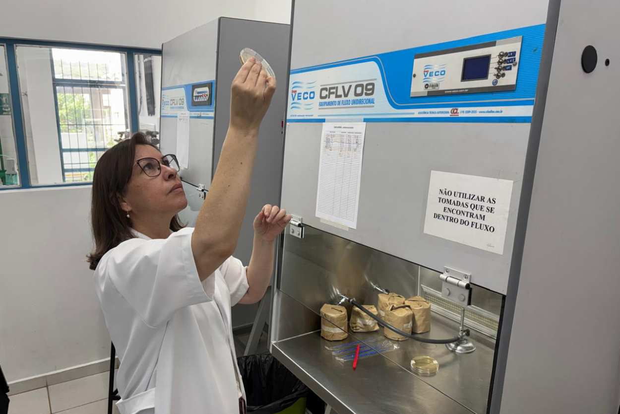 Pós-graduação do Paraná cresce 80% em cursos com nota máxima da Capes