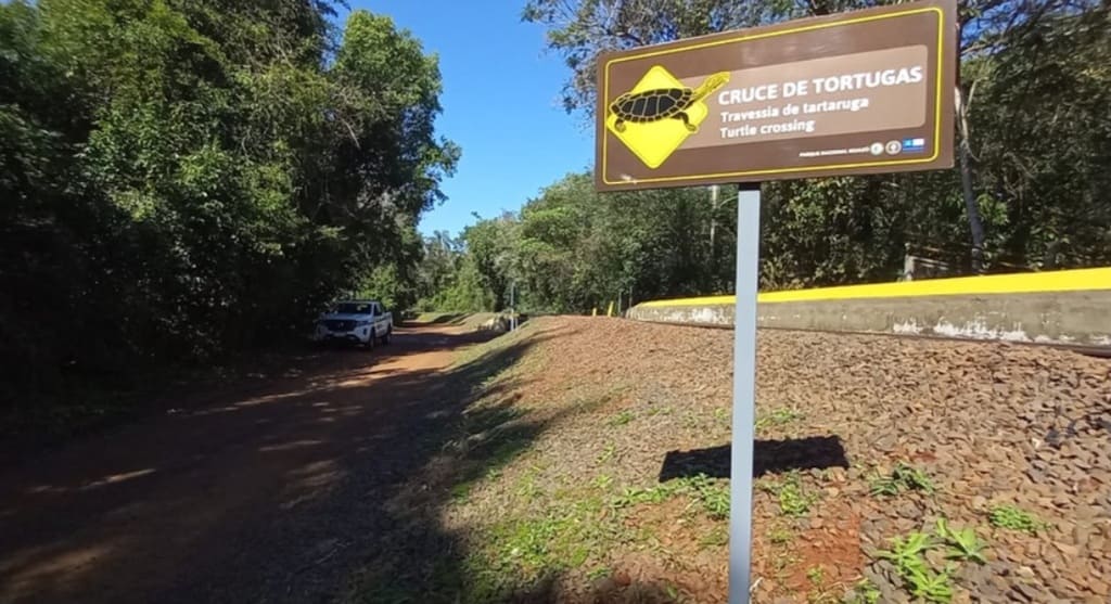 Placa indicando a presença de filhotes de 'tortugas' (tartarugas).