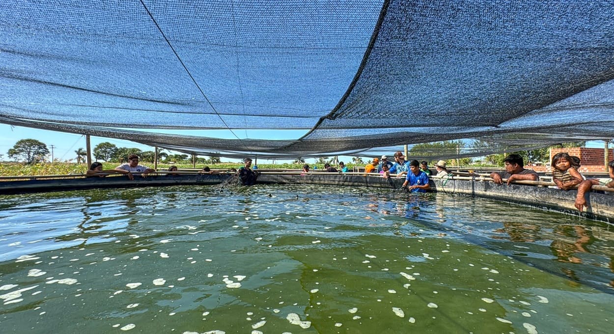Com apoio de Itaipu, indígenas praticam piscicultura no Oeste do Paraná