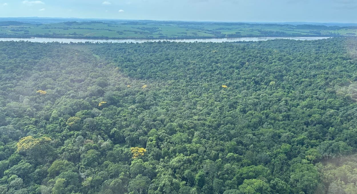 Participe das oficinas do Plano de Envolvimento do Parque Nacional do Iguaçu
