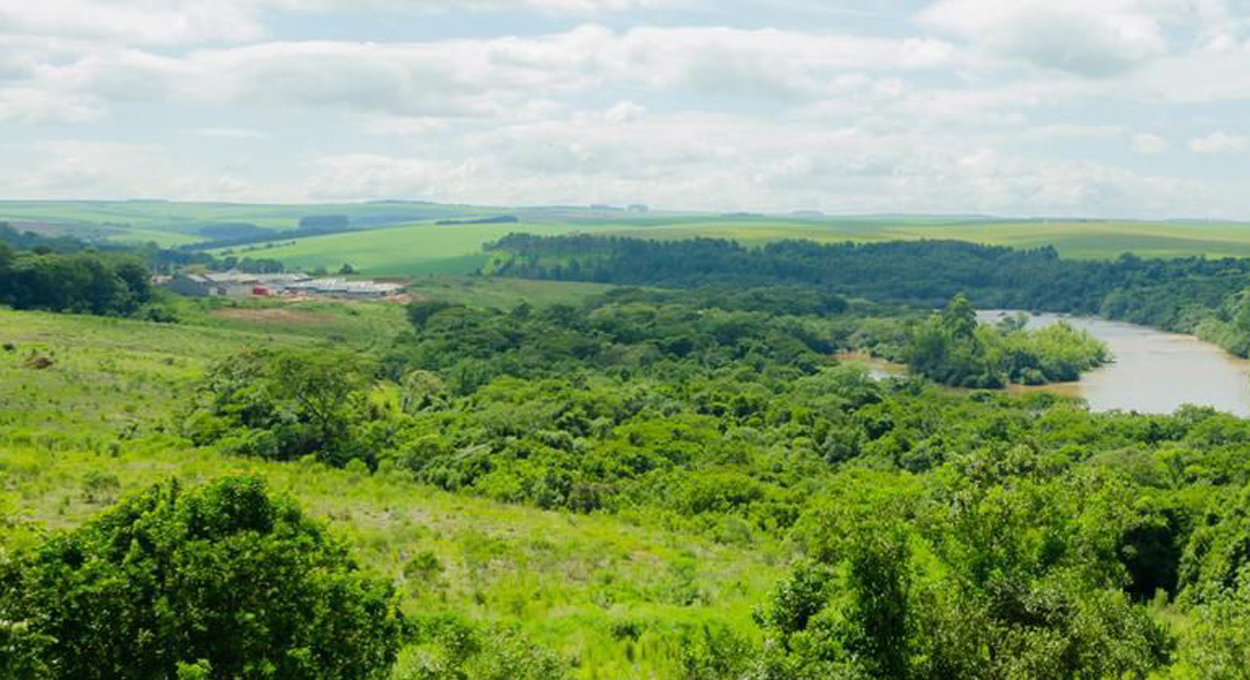 Articulação do Sistema FAEP colabora para o TRF4 extinguir ação sobre áreas rurais na Mata Atlântica