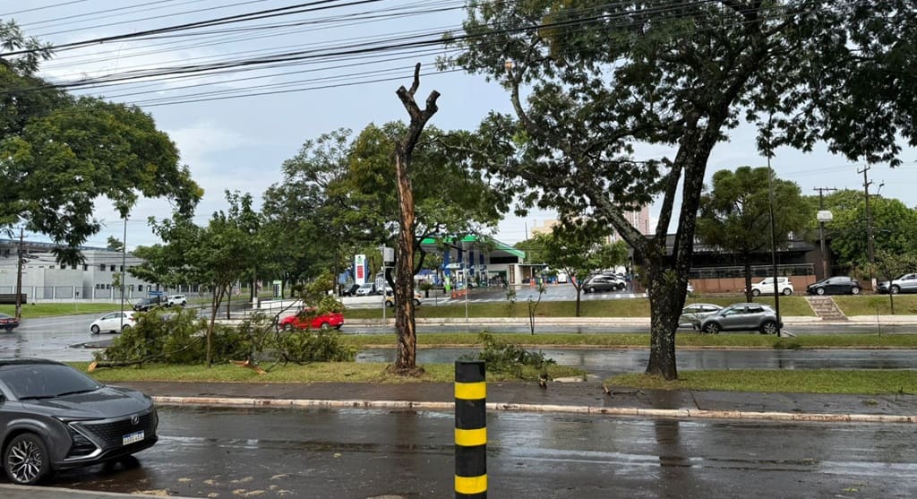 Queda de galhos na esquina da Delegacia da Polícia Federal em Foz do Iguaçu.
