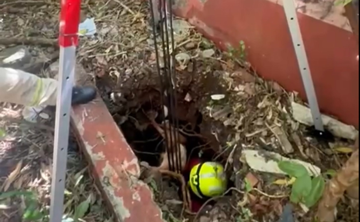 Bombeiros de Foz resgatam cachorrinha em poço de 3 metros