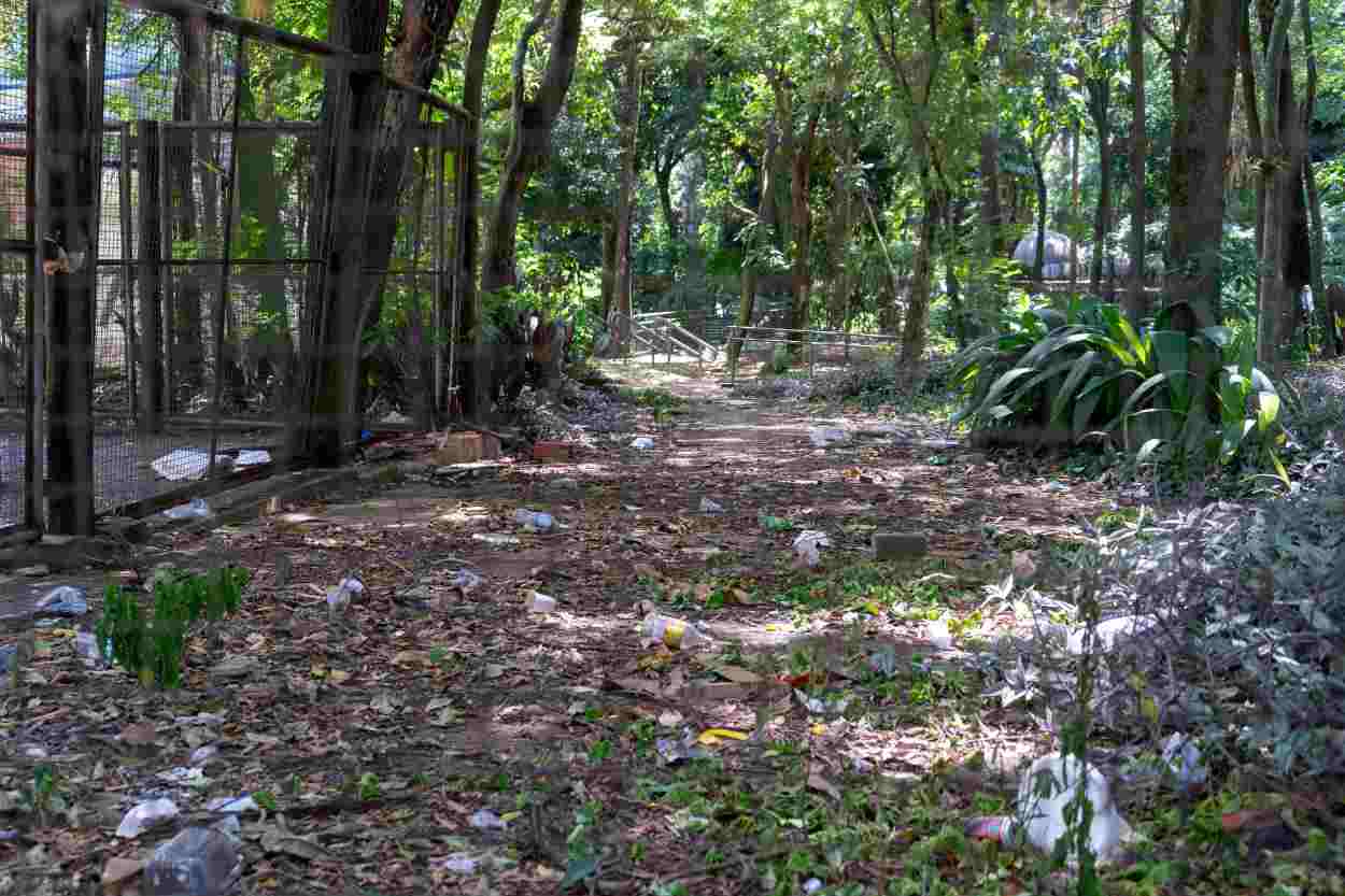 Bosque Guarani segue fechado para uso público no ano em que completa três décadas