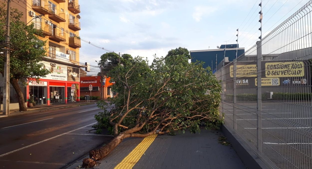 Após novo vendaval, confira a previsão do tempo para Foz do Iguaçu