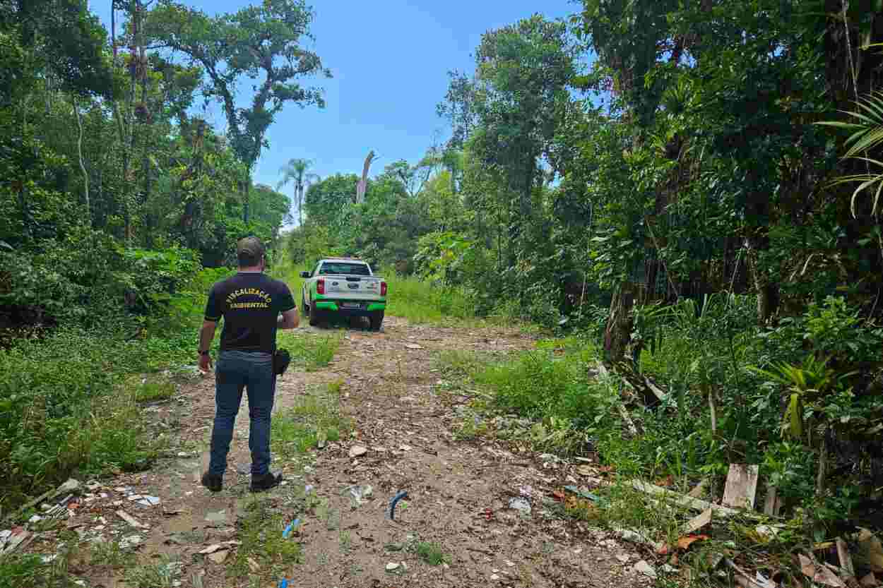 Paraná tem novo canal para denúncias de crimes ambientais