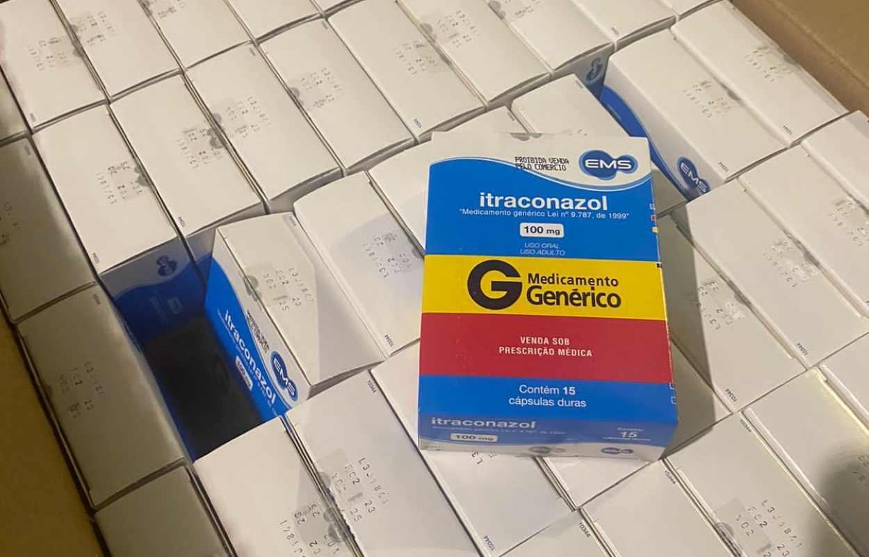 Saúde distribui remédio para tratar esporotricose em gatos; entenda a doença