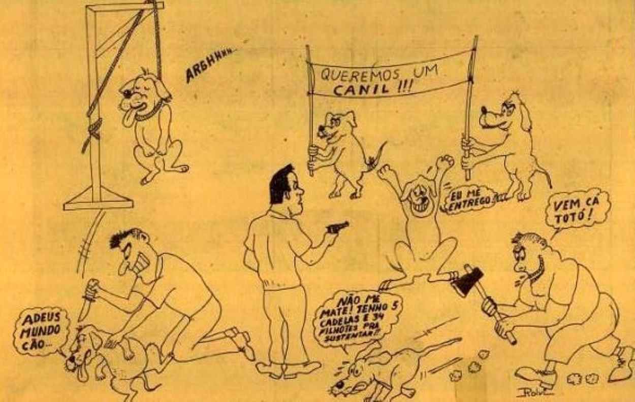 Vereador propôs eliminar ‘cães vadios ou não’ pegos nas ruas em Foz do Iguaçu