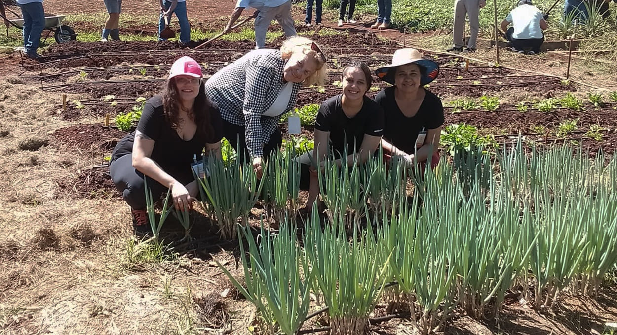 Itaipu e Parquetec iniciam plantio de hortas comunitárias