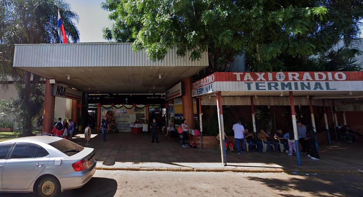 Retirada de abelhas interdita rodoviária de Ciudad del Este
