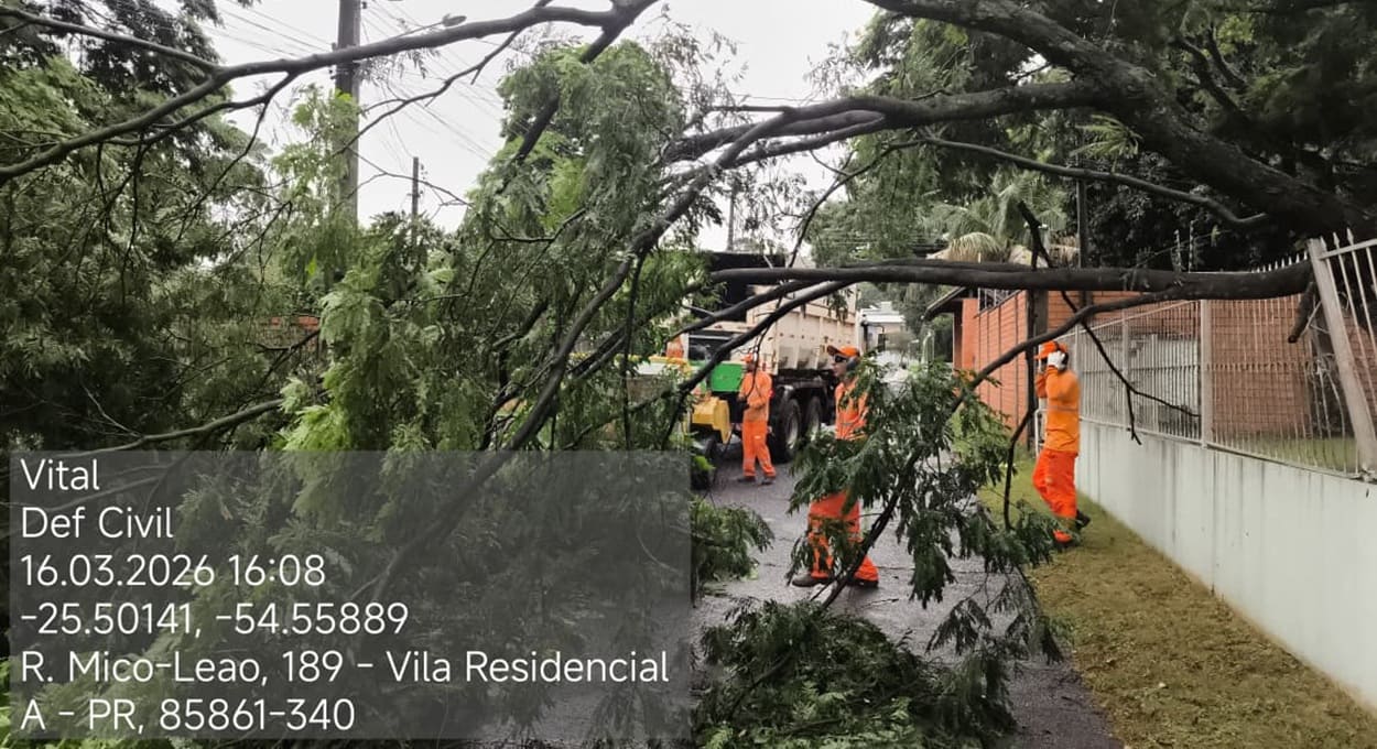 Temporal provoca danos em Foz do Iguaçu — balanço da Defesa Civil