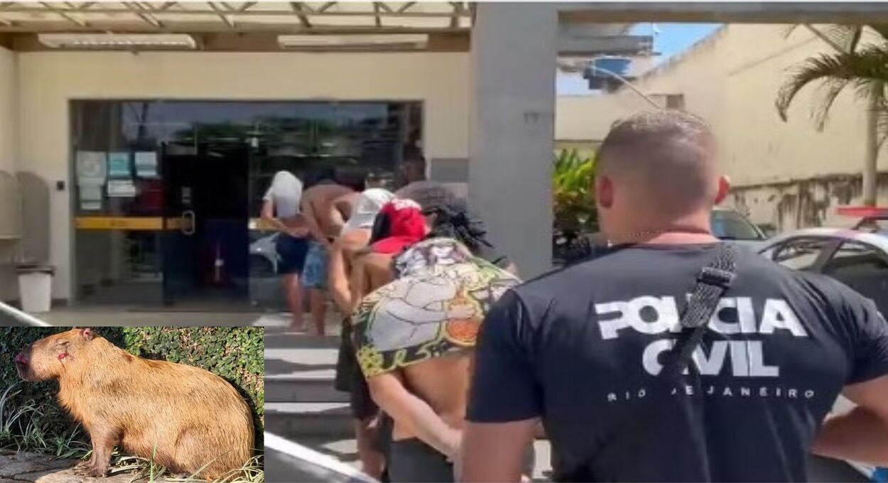 Lei Orelha, a capivara e os psicopatas