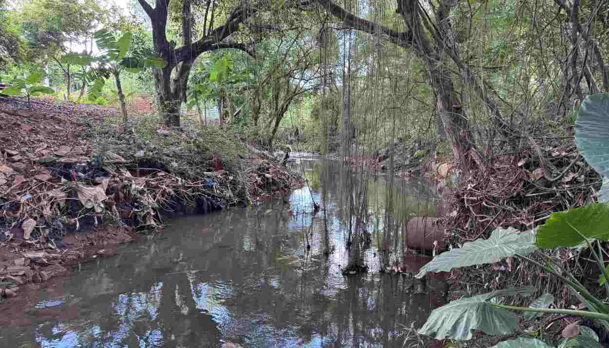 Moradores cobram fim de esgoto lançado no Rio Boicy em área pública no Campos do Iguaçu