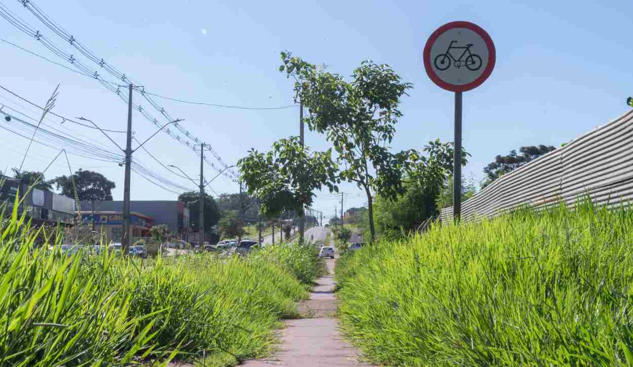 Mato alto encobre ciclovia e pista de caminhada da Felipe Wandscheer