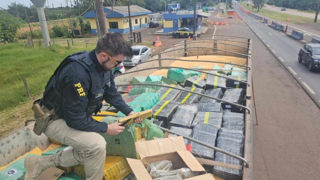 Maior apreensão do ano: 5 toneladas de maconha são encontradas sob carga de milho