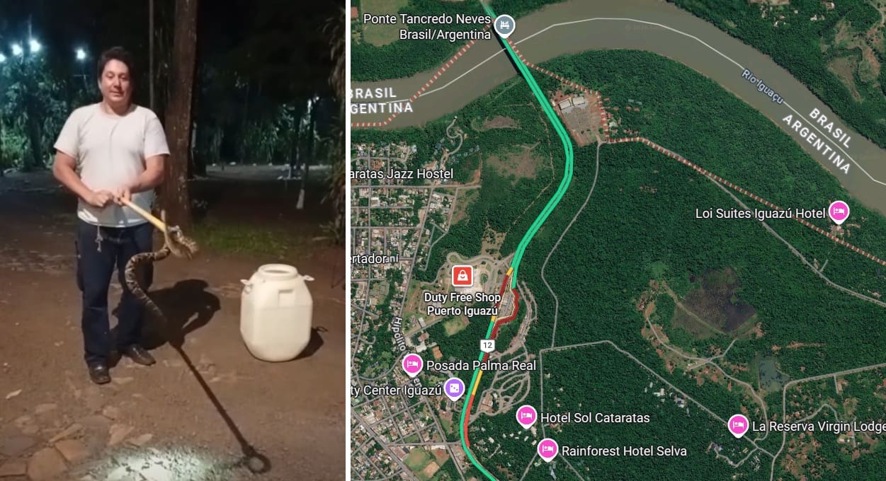 Funcionários encontram jararaca em lixeira de hotel na Argentina