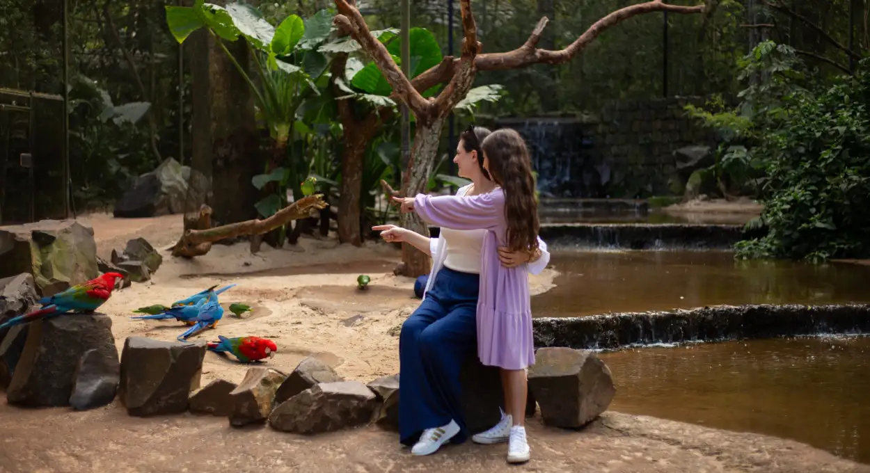 Parque das Aves bate recorde no trimestre e reforça seu papel no turismo de Foz do Iguaçu