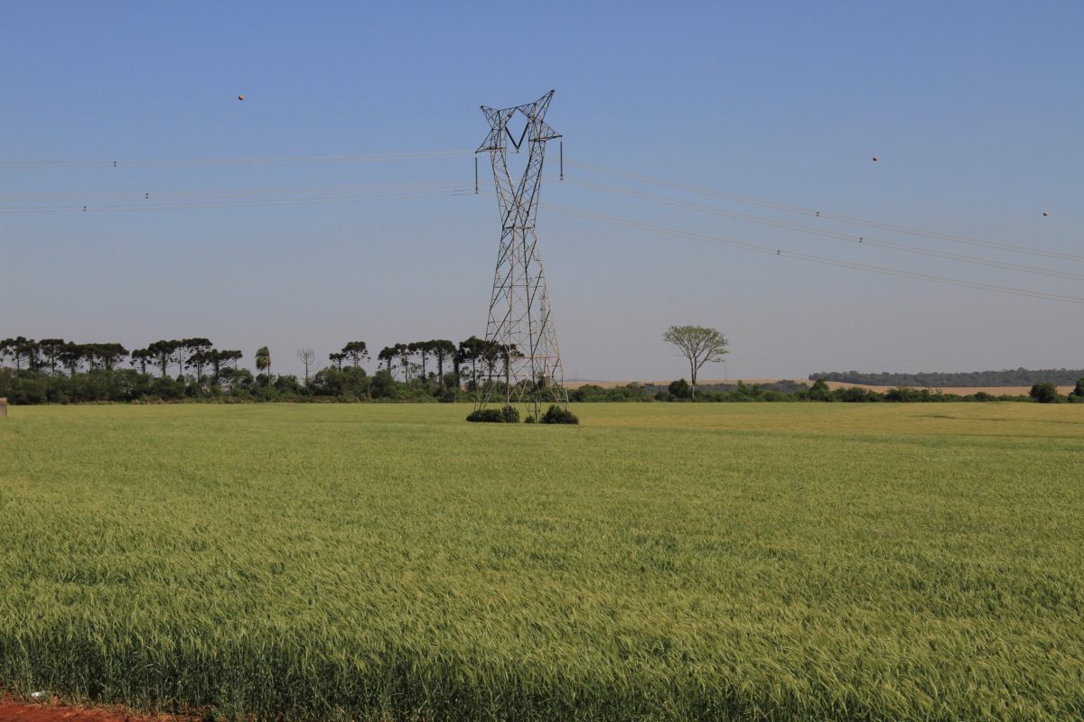 Canal exclusivo da Copel para produtor rural após articulação do Sistema FAEP