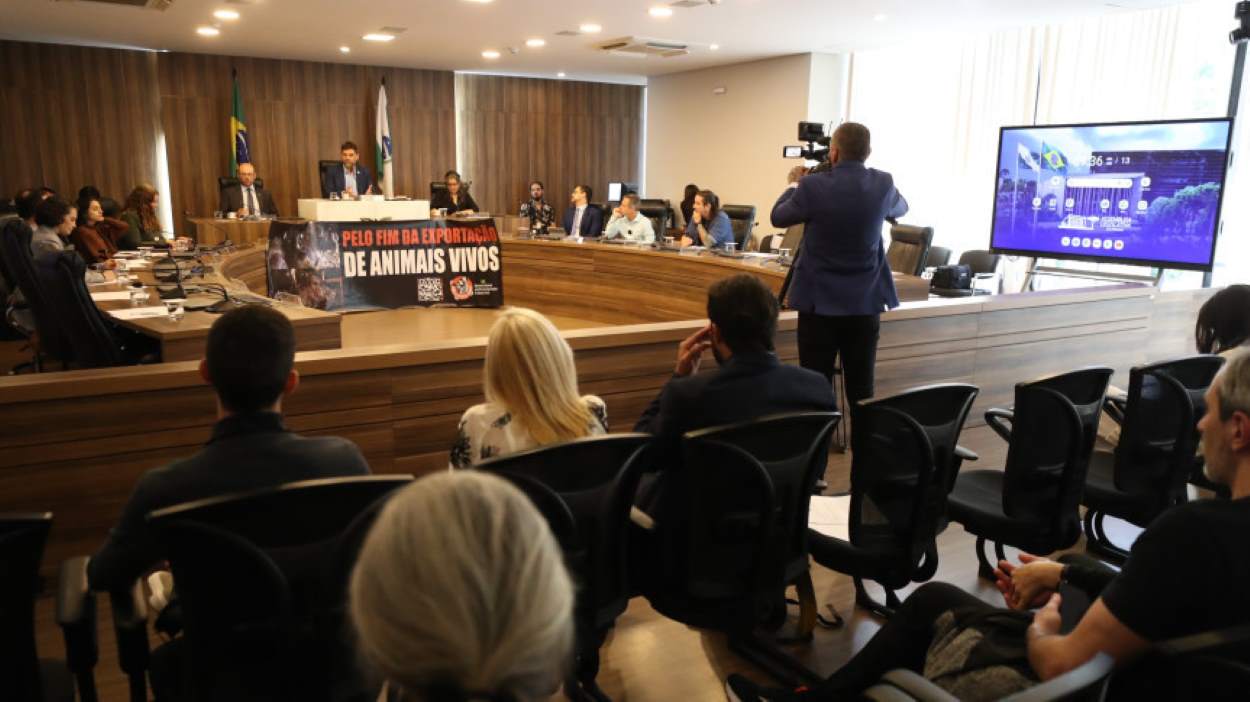 Exportação de animais vivos é alvo de críticas em audiência na Alep