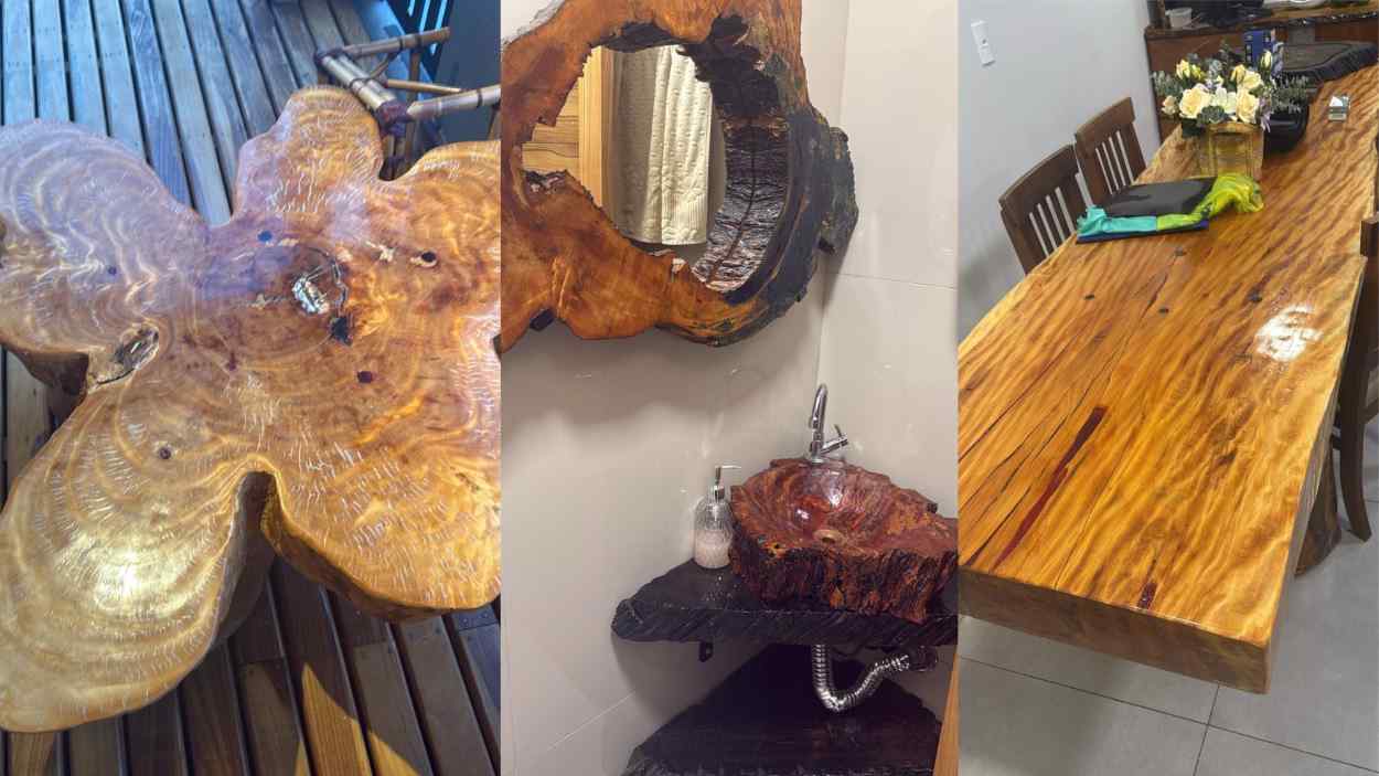 PF mira esquema de extração de madeira de lei no parque para fabricação e venda de móveis