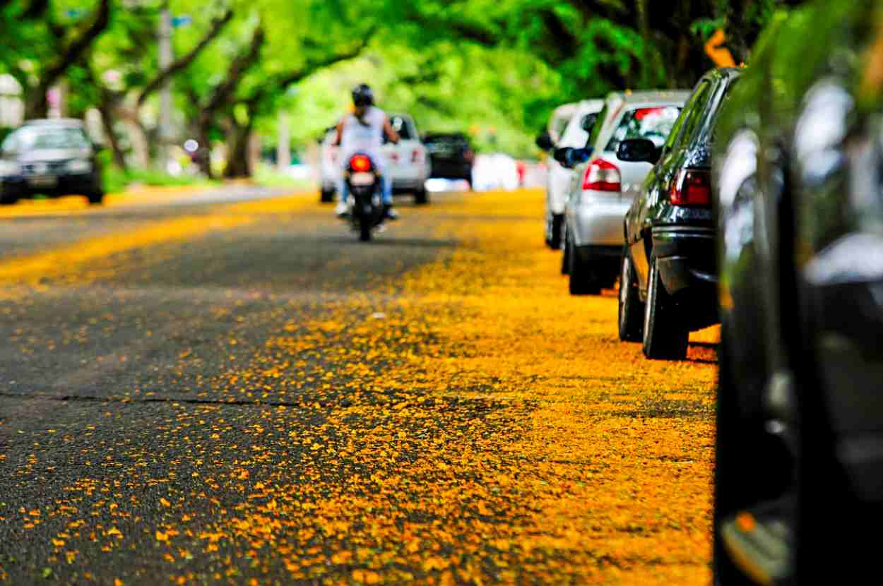 Três a cada quatro sinistros de trânsito envolvem motos em Foz