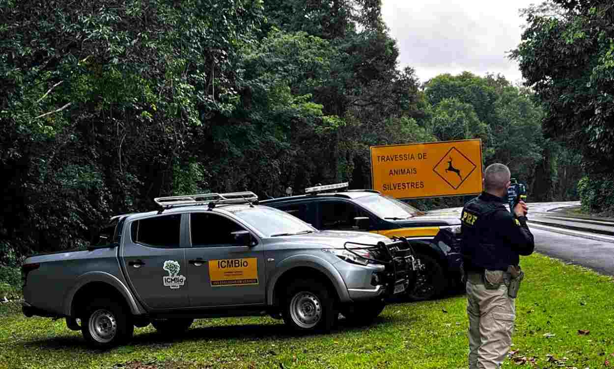 PRF realiza fiscalização no Parque Nacional contra atropelamento de animais