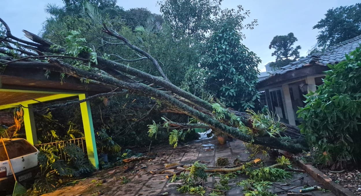 Temporal durante a madrugada derruba árvores em Foz do Iguaçu