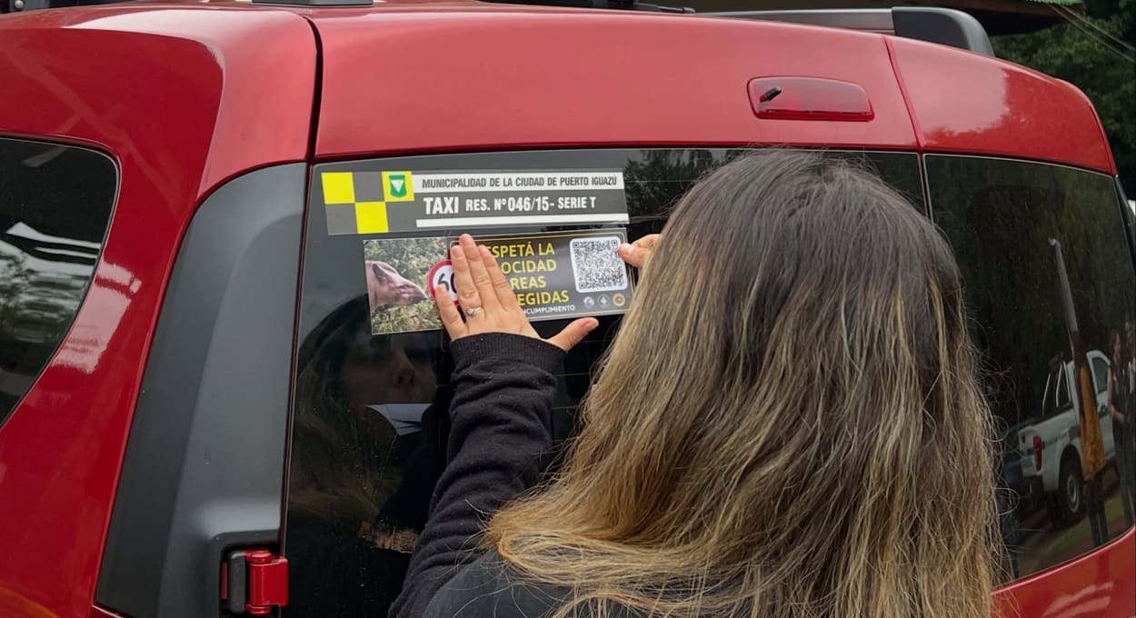 Blitz na Argentina combate o atropelamento de animais na fronteira