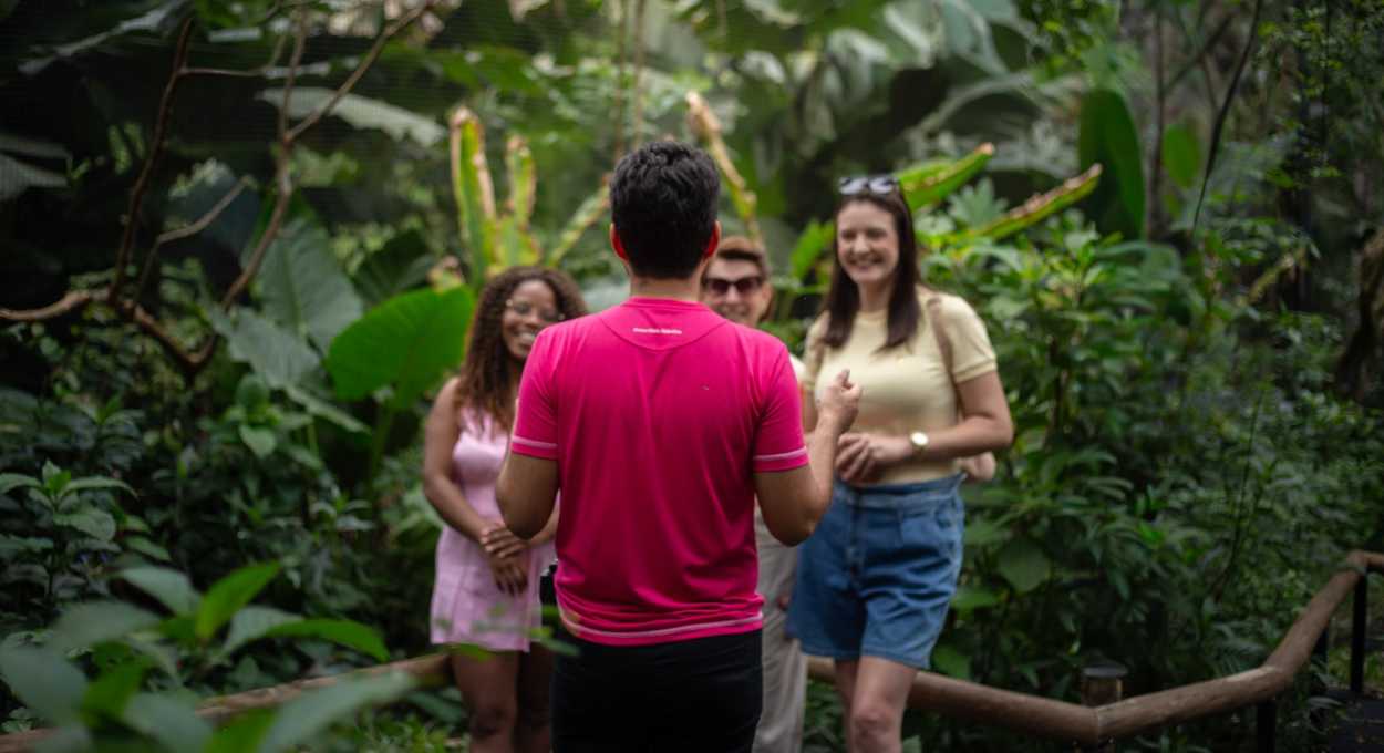 Importância das abelhas é tema de ação do Parque das Aves nesta quarta (20)