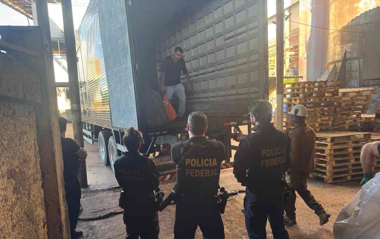 PF destrói quase 6 toneladas de drogas retiradas de circulação na fronteira