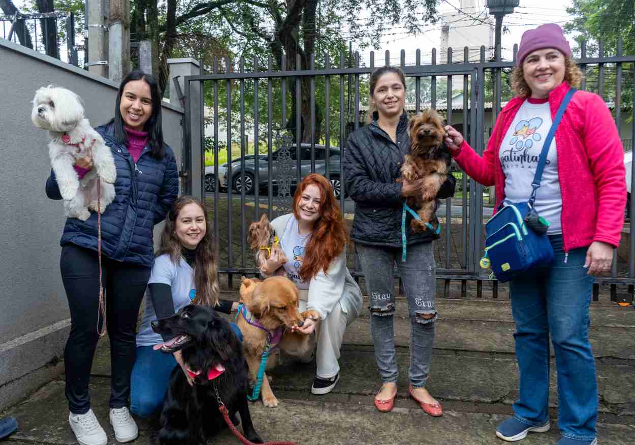 Cães-terapeutas espalham amor por Foz do Iguaçu